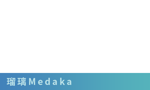 瑠璃Medaka